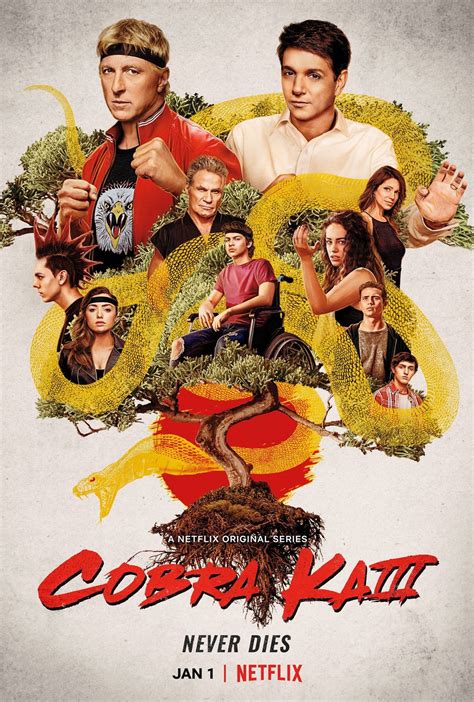 yesmovies cobra kai